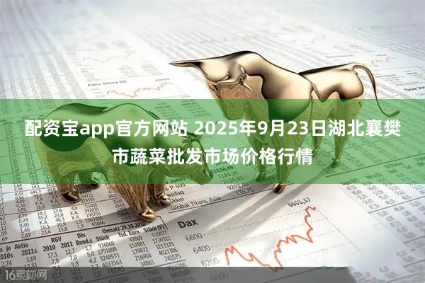 配资宝app官方网站 2025年9月23日湖北襄樊市蔬菜批发市场价格行情