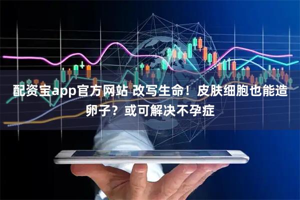 配资宝app官方网站 改写生命！皮肤细胞也能造卵子？或可解决不孕症