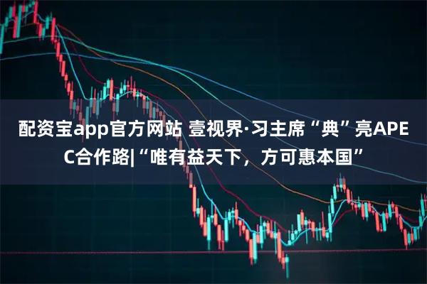 配资宝app官方网站 壹视界·习主席“典”亮APEC合作路|“唯有益天下，方可惠本国”