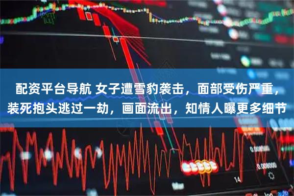 配资平台导航 女子遭雪豹袭击，面部受伤严重，装死抱头逃过一劫，画面流出，知情人曝更多细节