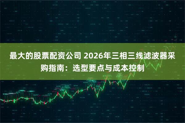 最大的股票配资公司 2026年三相三线滤波器采购指南：选型要点与成本控制