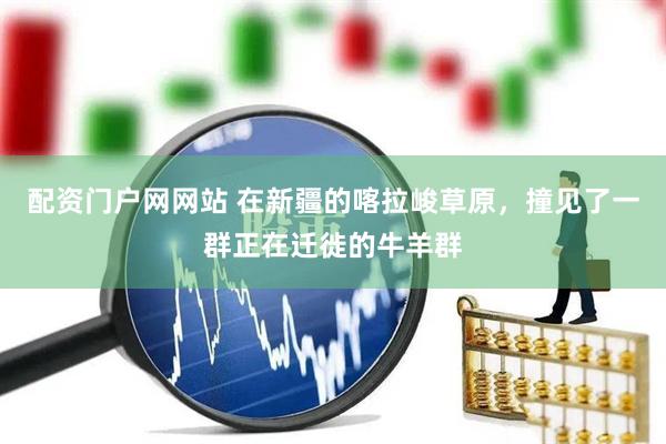 配资门户网网站 在新疆的喀拉峻草原，撞见了一群正在迁徙的牛羊群
